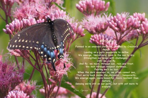 Poetry & Photography mixed media